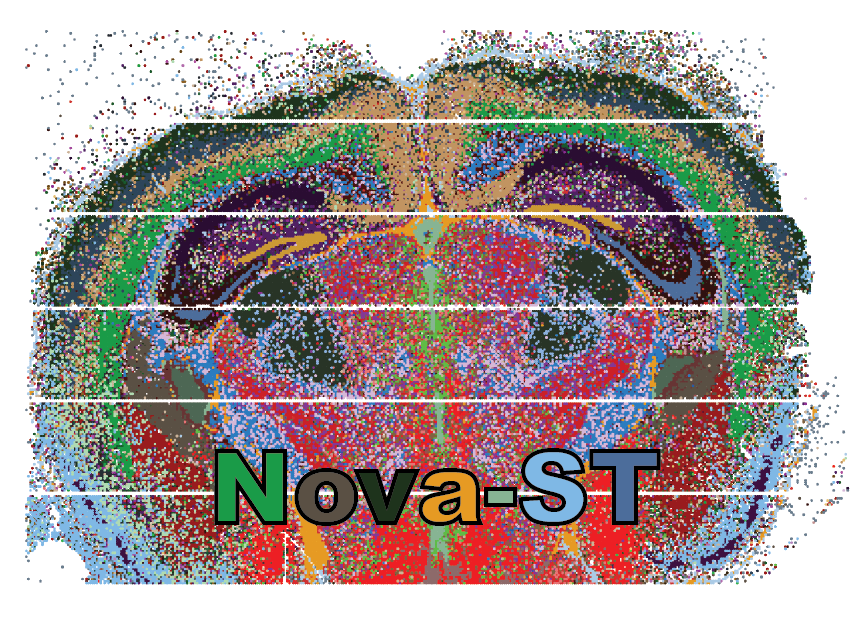 Nova-ST